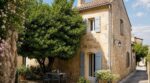 Canicule : cet arbuste que les anciens plantaient au coin de la maison garde vos murs frais et freine un fléau estival