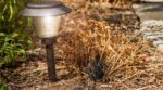 Canicule : cette erreur avec vos lampes de jardin peut mettre le feu à vos massifs sans que vous vous en rendiez compte