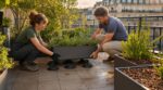 Canicule : si vos jardinières grillent malgré l’arrosage, ce détail caché sous les bacs les condamne en quelques jours