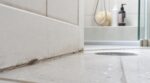 Ce petit insecte noir dans votre salle de bain cache parfois bien plus qu’on ne croit : le vrai signal d’infestation