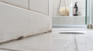Ce petit insecte noir dans votre salle de bain cache parfois bien plus qu’on ne croit : le vrai signal d’infestation