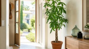 Cette plante porte-bonheur ne fonctionne que si vous la mettez à cet endroit précis de l’entrée, les anciens le savaient
