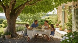 Déjeuners au frais sur terrasse plein sud : cet arbre planté il y a 2 ans remplace stores et clim cet été