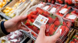 Fraises : cette origine que tout le monde met dans son panier explose les pesticides, l&rsquo;étiquette à vérifier de suite