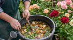 Je jetais ces déchets organiques au jardin par habitude : ce mélange zéro déchet a métamorphosé mes fleurs