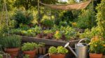 Juillet n’est pas trop tard : ces légumes, fleurs et aromatiques à planter vite avant de ruiner votre potager d’automne