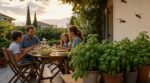 Les anciens mettaient toujours cette plante aromatique sur la terrasse : l&rsquo;effet redoutable sur les frelons asiatiques