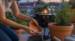 Moustique tigre : cette méthode gratuite de l’ANSES à faire en 15 minutes autour de la terrasse bloque l’invasion
