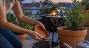 Moustique tigre : cette méthode gratuite de l’ANSES à faire en 15 minutes autour de la terrasse bloque l’invasion