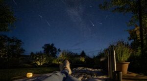 Nuits des étoiles : ces 5 astuces gratuites à préparer ce soir dans votre jardin pour voir un max d’étoiles filantes