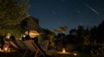 Nuits des étoiles début août : ces 5 réglages secrets dans votre jardin pour voir des dizaines d’étoiles filantes