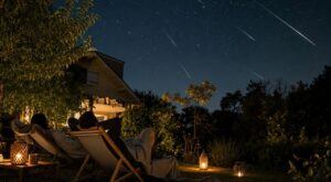 Nuits des étoiles début août : ces 5 réglages secrets dans votre jardin pour voir des dizaines d’étoiles filantes