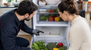 Odeurs de moisi dans le frigo : ce petit trou caché que vous ne nettoyez jamais et qui les fait revenir