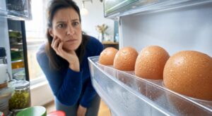Œufs : cette erreur de conservation au frigo vous expose à une intoxication alimentaire que les experts redoutent