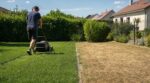 Pelouse grillée en 48 h : ce réglage discret de la tondeuse que votre voisin applique dès les premières chaleurs