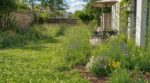 Pelouse parfaite : pourquoi vous devriez l&rsquo;abandonner pour ce nouveau jardin qui fait baisser la facture d&rsquo;eau