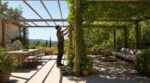 Pergola qui brûle au soleil : ce geste discret de paysagiste la transforme en coin de fraîcheur en 1 été