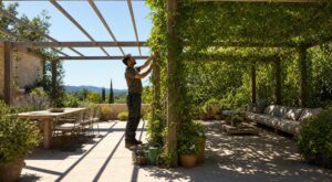 Pergola qui brûle au soleil : ce geste discret de paysagiste la transforme en coin de fraîcheur en 1 été