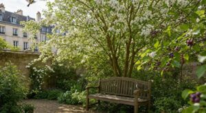 Petit jardin : ce petit arbre oublié, parfait pour fleurs, ombre et baies, que tout le monde ignore à tort