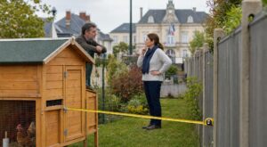 Poulailler : quand le mètre du voisin révèle cette distance illégale qui peut vous coûter jusqu’à 6 000 € par m²