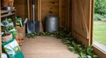 Rats et souris dans votre cabanon : pourquoi nos anciens glissaient une feuille de cette plante de cuisine dans un coin