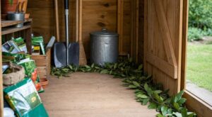 Rats et souris dans votre cabanon : pourquoi nos anciens glissaient une feuille de cette plante de cuisine dans un coin