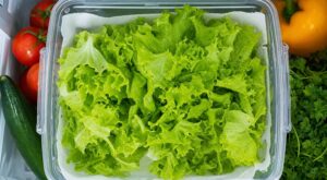 Salade verte : arrêtez de faire cette erreur au frigo, ces 4 gestes la gardent croquante deux fois plus longtemps