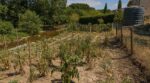 Sécheresse : eau du voisin, ruisseau, puits… cette règle méconnue peut vous coûter cher dans votre potager