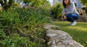 Serpent dans votre jardin : ce signe méconnu sur votre terrain (et le geste interdit qui peut vous coûter cher)