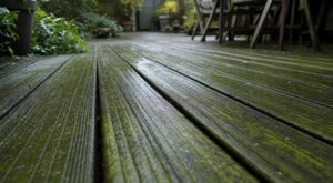 Terrasse en bois grise et glissante en 2 ans : cette erreur avec les lames rainurées la rend dangereuse