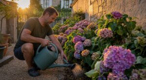« Tes hortensias n’ont pas soif » : ce pépiniériste m’a interdit ce réflexe en pleine canicule qui les épuise