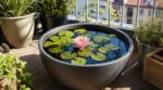 Un nénuphar en pot sur votre terrasse : cette erreur fréquente tue la plante avant même la première fleur