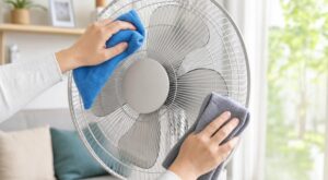 Ventilateur qui sent le renfermé : ce nettoyage express de 10 minutes et l’erreur que tout le monde fait
