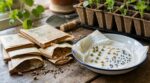 Vieux sachets de graines : ces 2 gestes simples à faire tout de suite avant de gaspiller votre potager