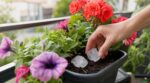 Vous jetez encore ces vieux cubes du congélateur ? Ce qu’ils font en silence à vos jardinières suspendues est bluffant