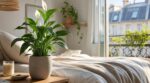 Vous respirez cet air toute la nuit : ce que la NASA révèle sur la plante à mettre dans votre chambre