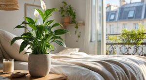 Vous respirez cet air toute la nuit : ce que la NASA révèle sur la plante à mettre dans votre chambre