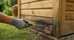Abri de jardin impeccable : ce test de 10 secondes révèle un danger caché avant qu’il ne soit trop tard
