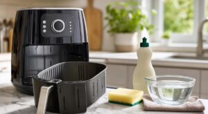Airfryer : si la graisse revient toujours dans la cuve, c&rsquo;est à cause de ce réflexe de nettoyage que tout le monde a
