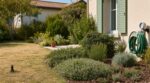 Arrêtez d’arroser ce gazon condamné : ce plan de paysagiste garde le jardin vert et jusqu’à 70 % d’eau en moins
