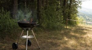 Barbecue près d&rsquo;une forêt : ce détail que les pompiers répètent peut vous coûter 135 € cet été