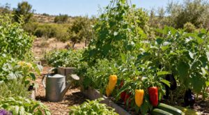 Canicule au potager : cette liste de légumes à planter à la place des tomates a sauvé toutes mes récoltes d&rsquo;été