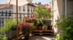 Canicule : ce geste méconnu avec vos pots de fleurs sur balcon bétonné évite de les « cuire » cet été
