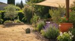 Canicule : ces gestes tout bêtes rendent votre jardin presque increvable sans l’inonder d’eau potable