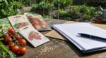 Ce fruit du potager est protégé par une clause juridique méconnue : l&rsquo;erreur que font 99 % des jardiniers