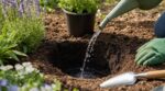 Ce geste de 2 secondes des paysagistes avant de planter évite de perdre la moitié de vos plantes au jardin