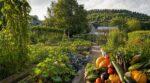 Ce potager vendéen au label national rare cache des idées que les jardiniers ne devraient plus ignorer