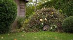 Ce tas de tailles de haie au fond du jardin attire des invités surprises… et peut vous coûter jusqu’à 750 €