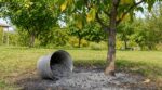 Cendres de barbecue : ce geste au pied de vos fruitiers peut ruiner tout votre verger en silence