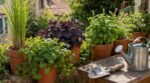 Ces 7 plantes aromatiques exotiques poussent sans serre en France et vont tout changer dans votre cuisine